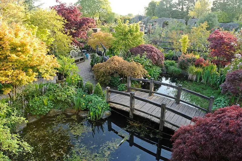 Larch Cottage Nurseries garden bridge, peaceful gardens near Penrith
