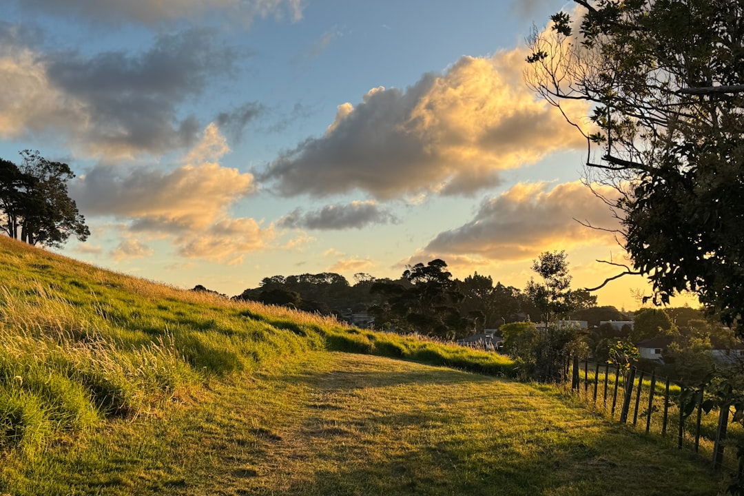 Golden sunset over grassy hills with trees in the Eden Valley